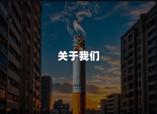 专业团队
